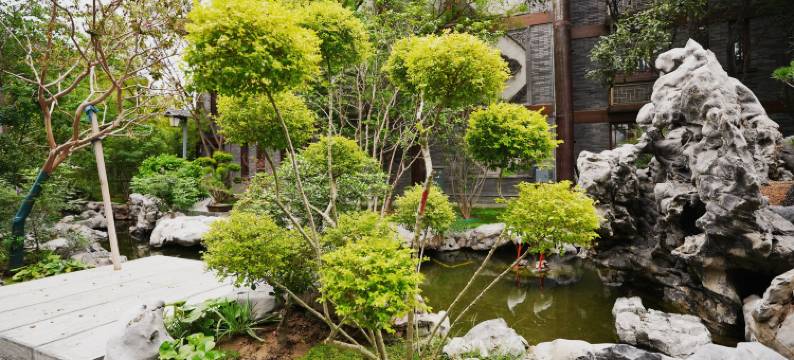 清明上河园西园叁號民宿(万岁山武侠城店)图片