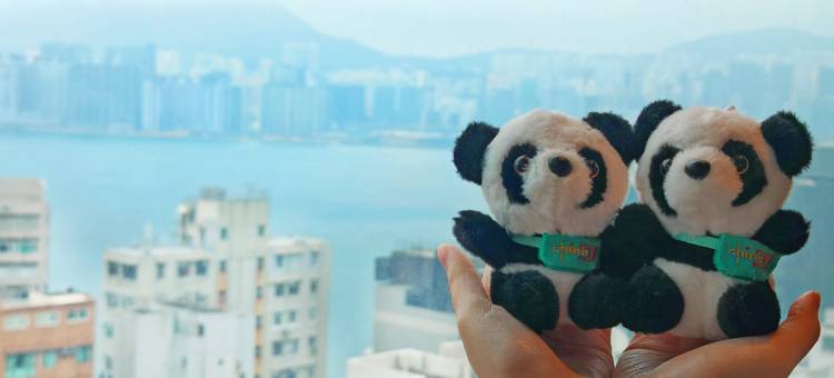 华美达盛景酒店图片