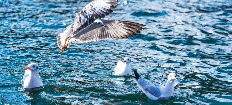 昆明君乐酒店图片