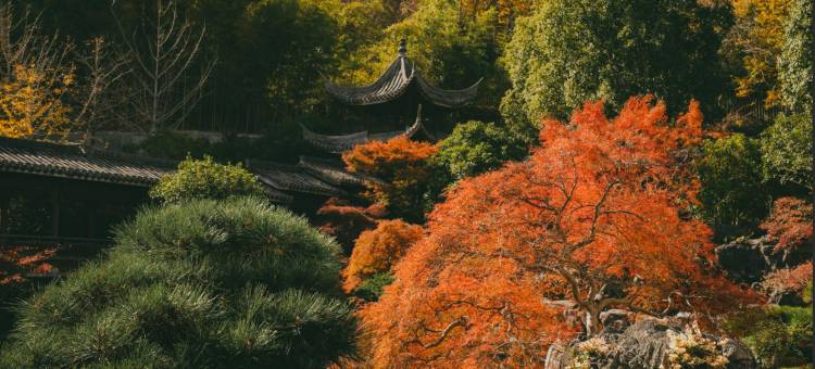 千岛湖燕山君澜度假酒店图片