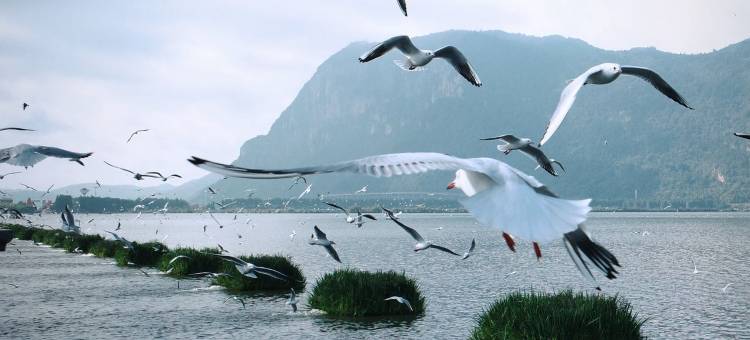 昆明华邑酒店(滇池)图片