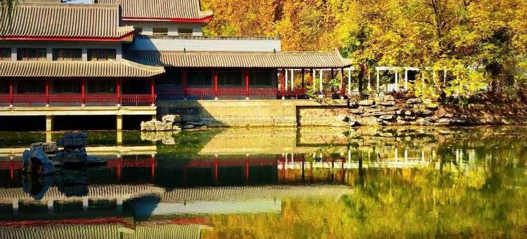 三只猫民宿(郑州人民公园店)图片