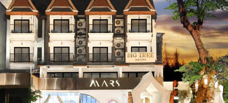 大树老城酒店(Big Tree Old Town Hotel)图片