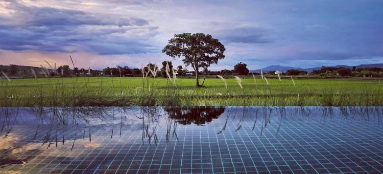 清迈稻田别墅(Rice Villa ChiangMai)图片