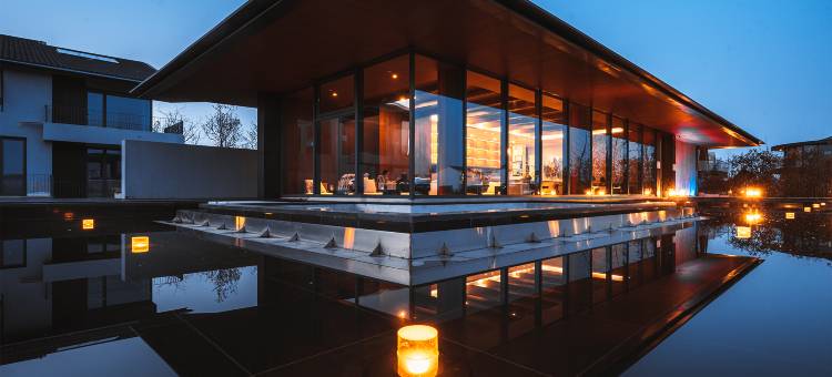 太仓七十二家村树蛙部落图片