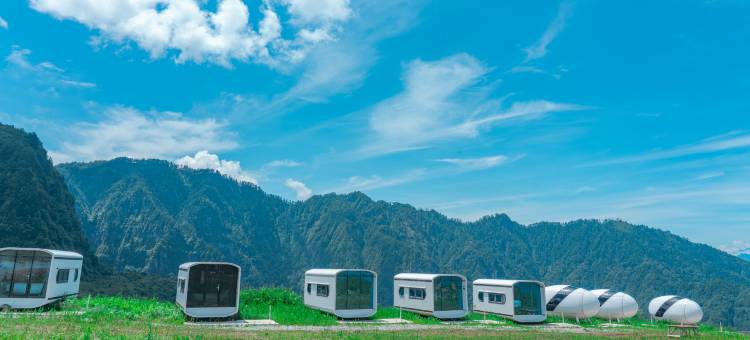 王岗坪脱壳龟生态营地图片