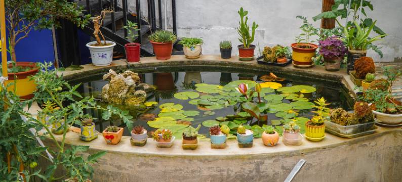 叮咚小院民宿(东东峪村店)图片