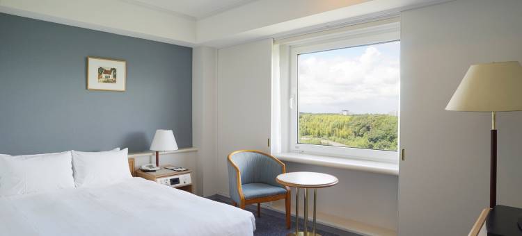 成田马罗德国际酒店(Marroad International Hotel Narita)图片