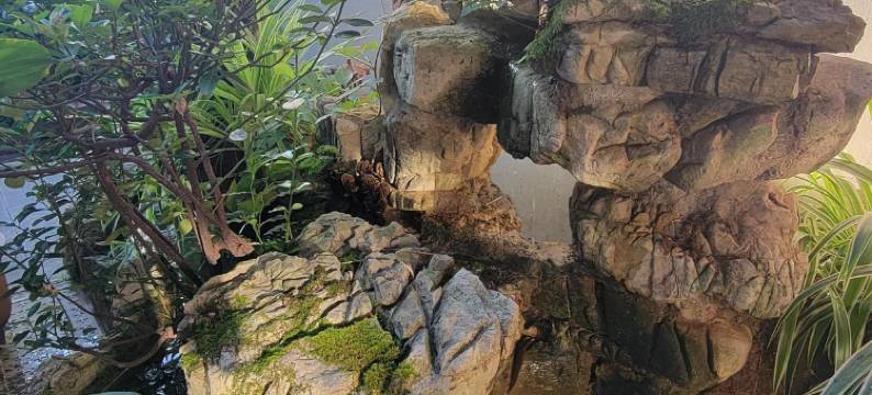 青岩古镇源霆文化客栈(北明清街店)图片