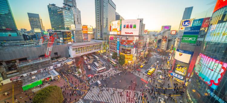 东急涩谷卓越大酒店(Shibuya Excel Hotel Tokyu)图片