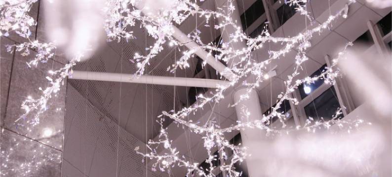 南宁龙光那莲豪华精选酒店图片