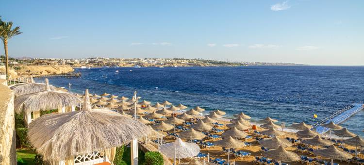 苏丹花园度假村-超全包(Sultan Gardens Resort Sharm El Sheikh - Ultra All Inclusive)图片