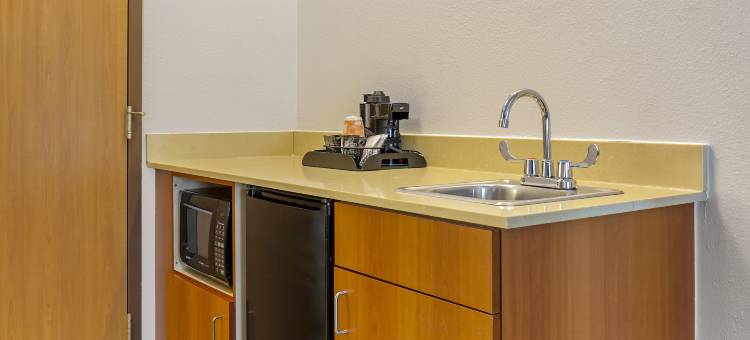 瑞皮市拉什莫尔山附近舒适套房酒店(Comfort Inn & Suites Rapid City Near Mt Rushmore)图片