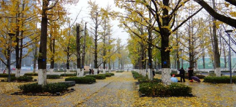 维也纳国际酒店(重庆两江幸福广场店)图片