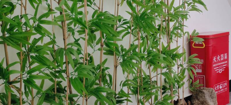 竹海酒店(仰天湖店)图片