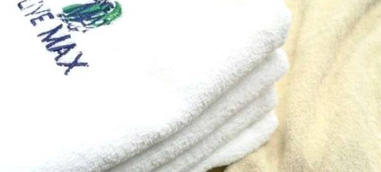 利夫马克斯经济型酒店-京都站前店(HOTEL LiVEMAX BUDGET Kyoto Ekimae)图片