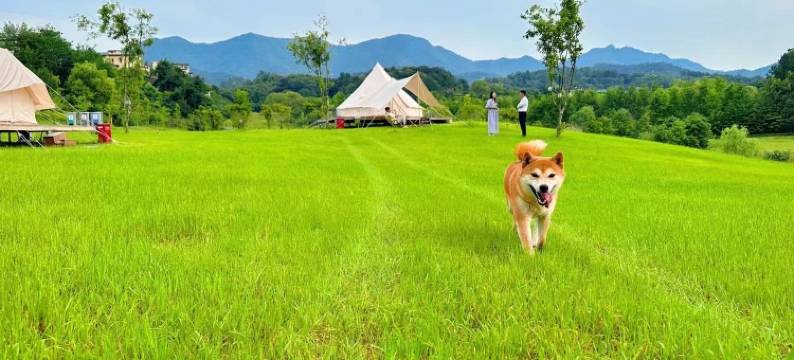 千岛湖羡山逍遥园·随园图片