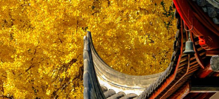 如家精选酒店(成都文殊院城隍庙地铁站店)图片