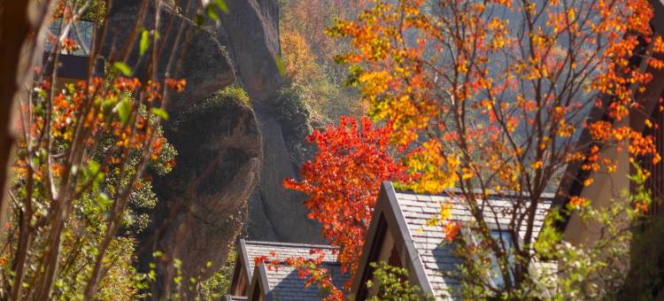 绍兴新昌安岚图片