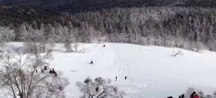 亚布力三号别墅图片