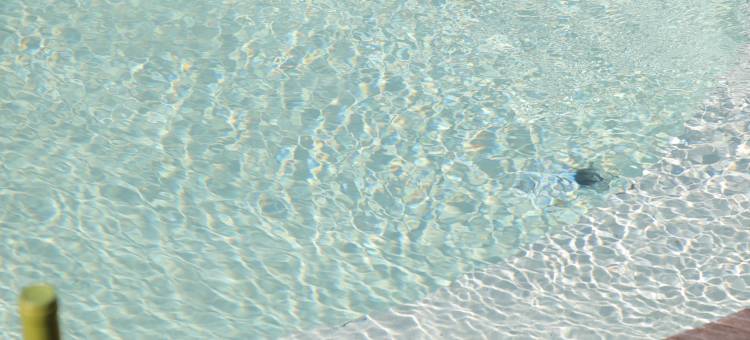 新昌山中来信·在云端民宿图片