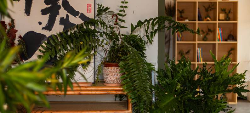 归野客栈(康新公路秀沿路地铁站店)图片