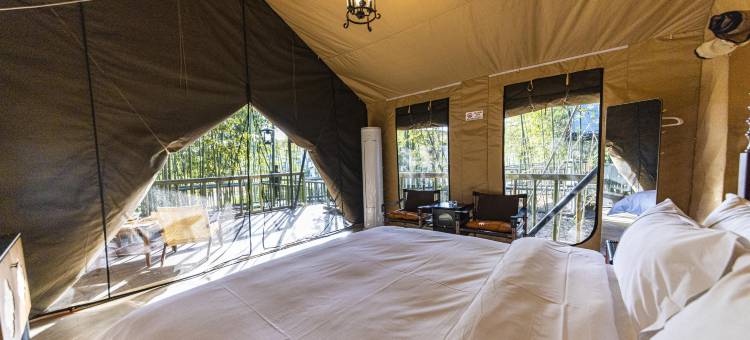 竹林雅居酒店图片