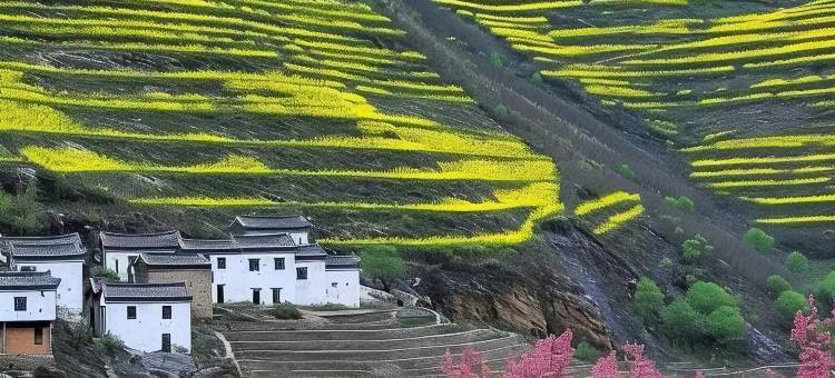竹溪小屋民宿(篁岭风景区店)图片