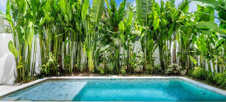 Eleven villa - Tropical 3BR Canggu Stay w Pool, Balcony & Office图片