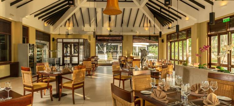 海豚俱乐部酒店(Club Hotel Dolphin)图片