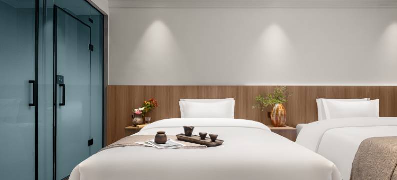 墨韵·云下别院温泉民宿(海螺沟冰川森林公园游客中心店)图片