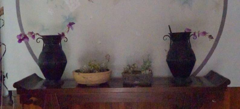 沈阳棋盘山小林间轻奢民宿图片