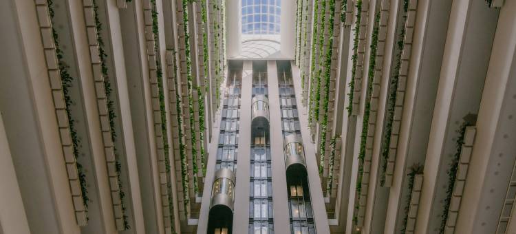 布里斯班洲际酒店(InterContinental Brisbane)图片