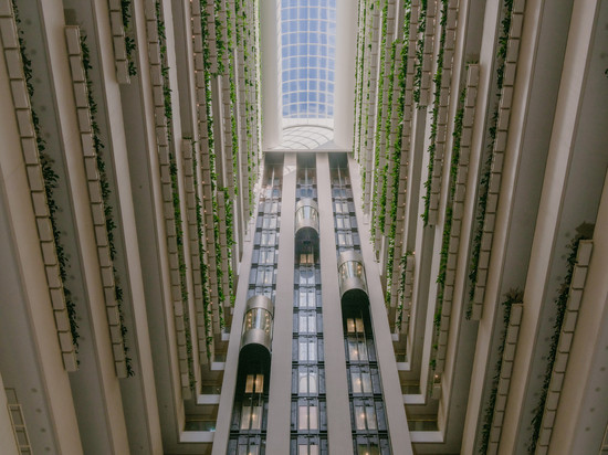 布里斯班洲际酒店