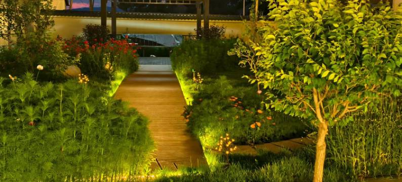 尼勒克蜂巢印象民宿图片