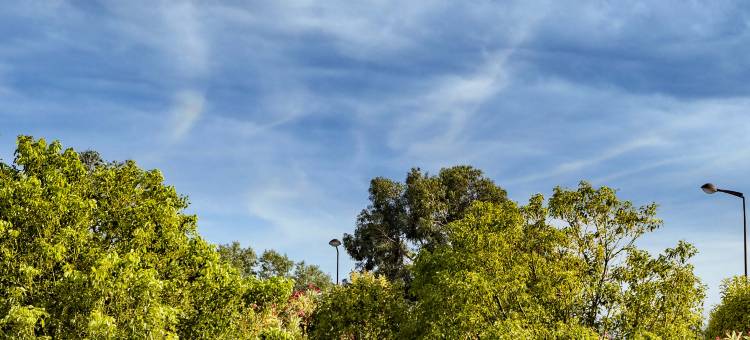 佩皮尼扬北机场民宿酒店(B&B Hotel Perpignan Nord Aéroport)图片