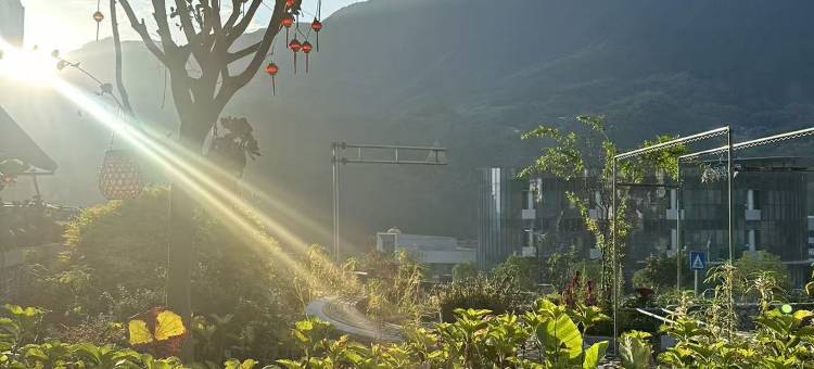 云和梯田艺杰民宿图片