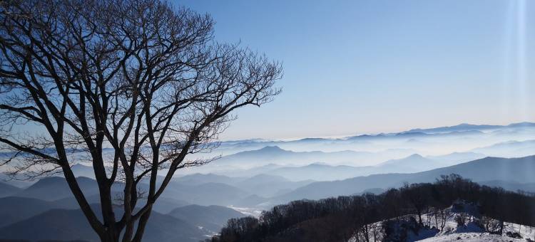 上湖上民宿图片