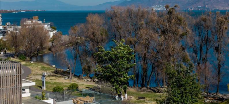 FuFu馥府海景民宿(洱海生态廊道店)图片