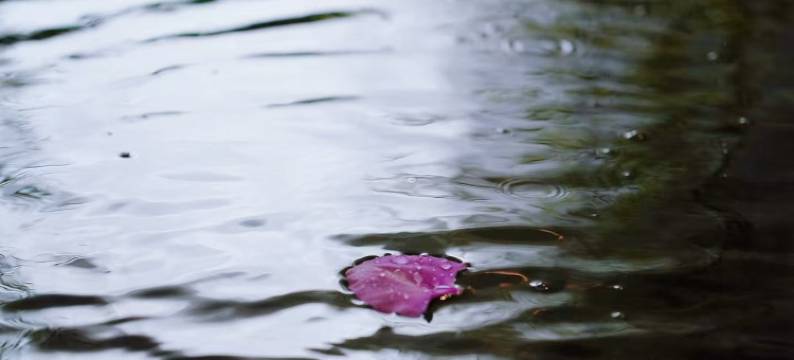 长城脚下的公社凯悦臻选酒店图片