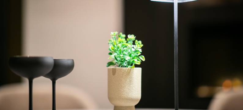 OZO总统机场酒店(OZO Hotels President Airport)图片