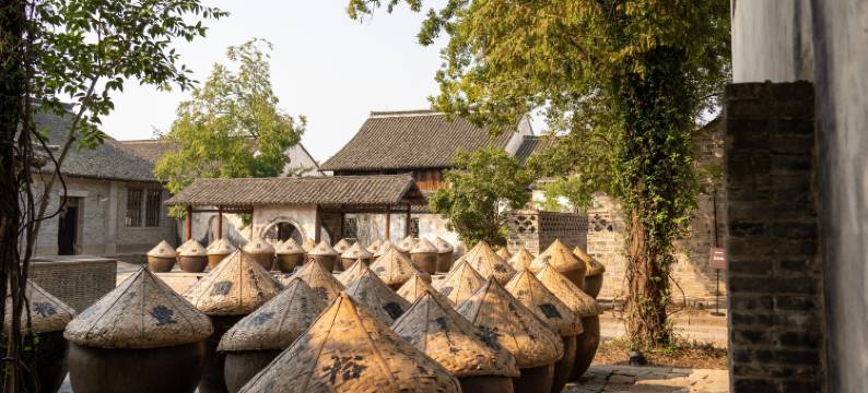 盐官潮乐之城酱园子民宿图片