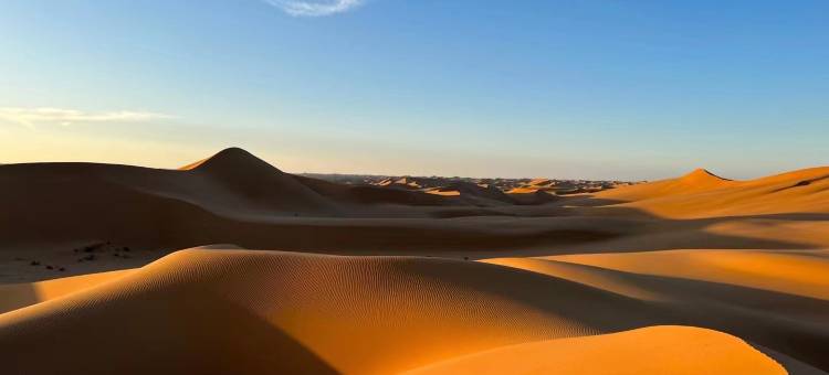 星耀大地·沙漠观星露营基地图片