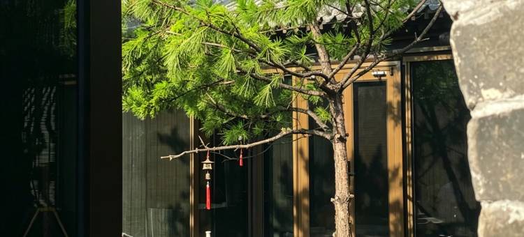 晋凰栖·私汤疗愈·HOLIDAY HEALTH HOTEL·民宿(大同古城店)图片