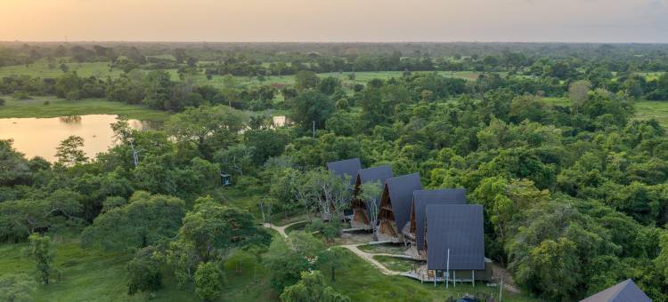 威尔帕图野生动物园度假村(Wilpattu Safari Resort)图片