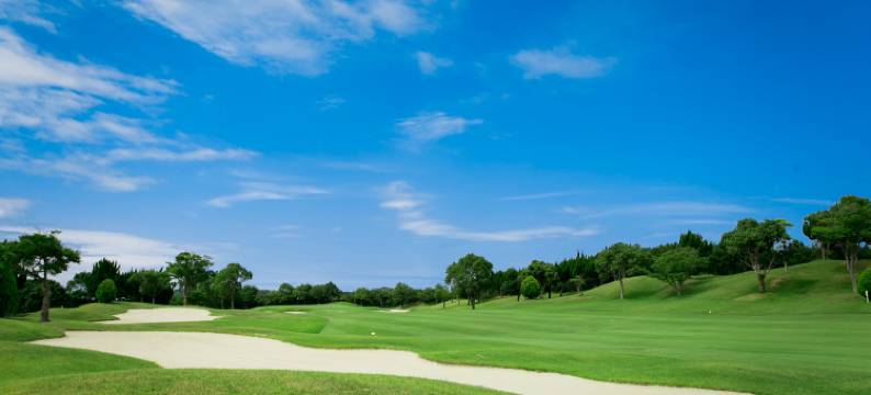 南纪白浜度假酒店(Nanki Shirahama Resort Hotel)图片