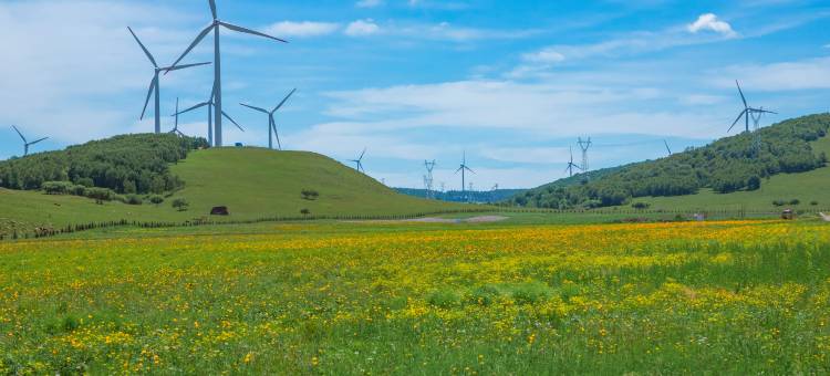 云筑·星源life轻奢设计民宿(塞罕坝店)图片