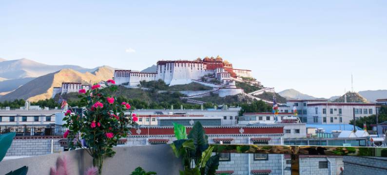 拉萨彼暧民宿(布达拉宫店)图片