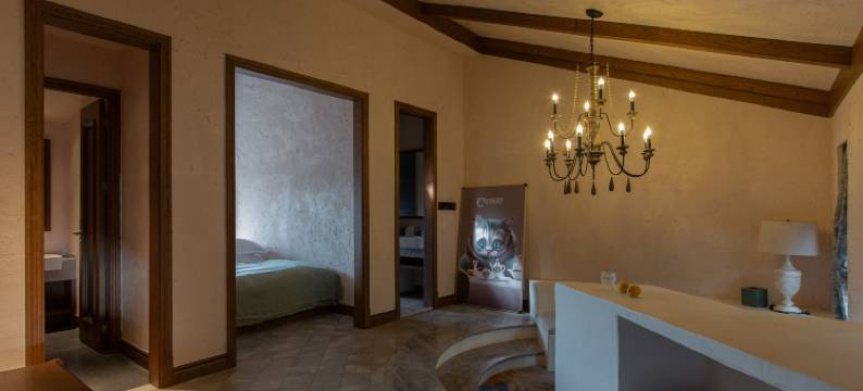 阅时·柴奢泸沽湖泳池私汤全湖景度假酒店(爱丽丝梦游仙境店)图片