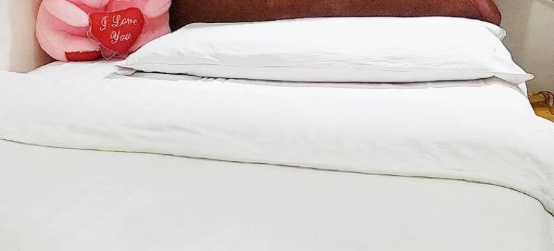 剑阁宏安宾馆图片